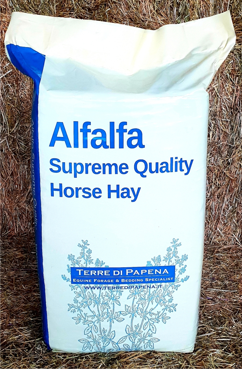 Alfalfa Supreme Hay